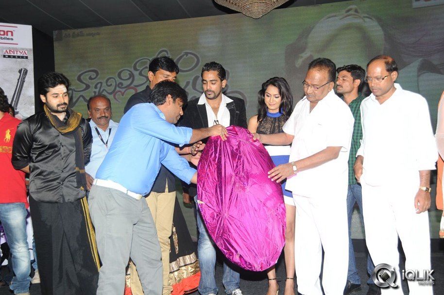 Jabilli-Kosam-Akasamalle-Movie-Audio-Launch